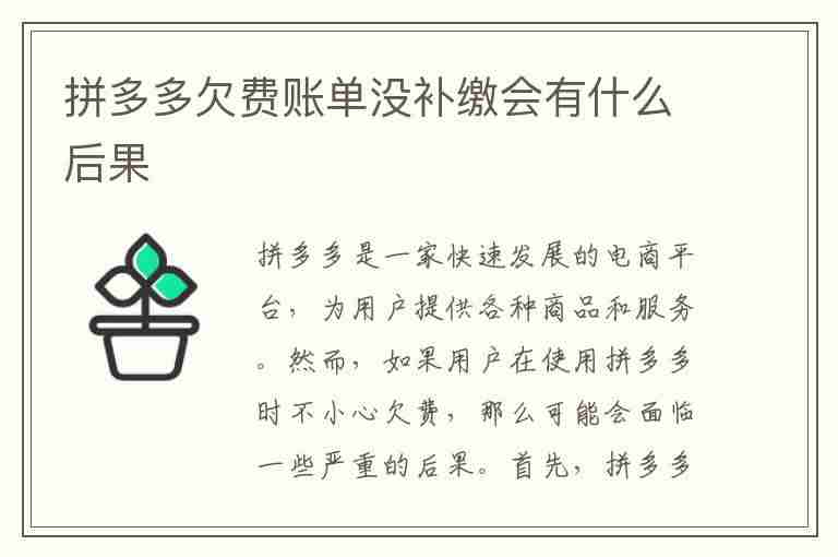 拼多多欠费账单没补缴会有什么后果